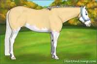 Horse Color:Silver Buckskin Roan Dun Sabino Splash 