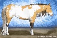 Horse Color:White Spotted Buckskin Frame Varnish 