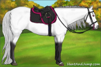 Horse Color:Silver Buckskin Chinchilla 