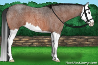 Horse Color:Bay Roan Splash