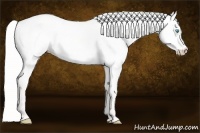Horse Color:Silver Perlino Roan Dun 