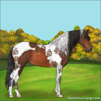 Horse Color:Brown Tobiano 