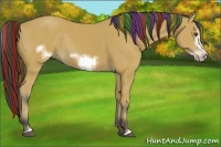 Horse Color:Painted Buckskin Sabino Frame Rabicano 
