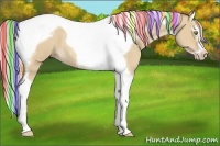 Horse Color:Painted Silver Sable Champagne Dun Splash Tobiano Frame Rabicano