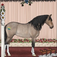Horse Color:Brown Roan Dun Rabicano