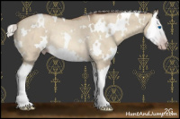 Horse Color:Gray White Spotted Silver Amber Champagne Roan Dun Splash Rabicano 