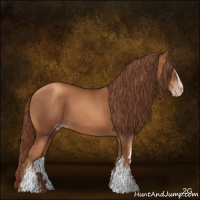 Horse Color:Gray White Spotted Gold Champagne 