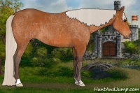 Horse Color:Silver Bay 