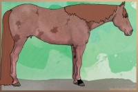 Horse Color:Chestnut Ice 