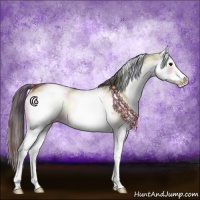 Horse Color:Nacre White Spotted Bay Onyx Rabicano 