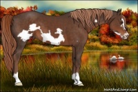 Horse Color:Liver Chestnut Frame 