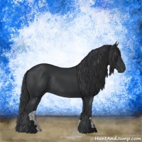Horse Color:Black Rabicano 