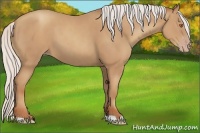Horse Color:Silver Classic Champagne 