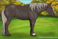 Horse Color:Silver Black 