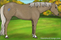 Horse Color:Silver Smoky Black 