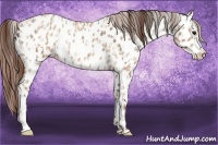 Horse Color:Classic Champagne Roan Near Leopard  and Amber Champagne Roan Near Leopard 