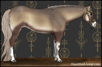 Horse Color:Silver Blue Onyx