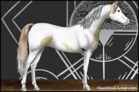 Horse Color:Red Dun Splash Tobiano 
