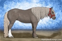 Horse Color:Silver Black 