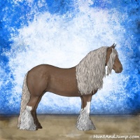 Horse Color:Silver Black 