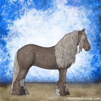 Horse Color:Silver Black 