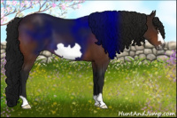 Horse Color:Gray Bay Frame