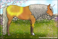 Horse Color:Silver Bay 