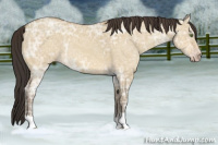 Horse Color:Amber Champagne Ice Dun 