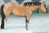Horse Color:Bay Ice 