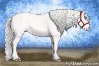 Horse Color:Silver Smoky Creme