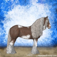 Horse Color:Silver Black Sabino Tobiano Frame Rabicano