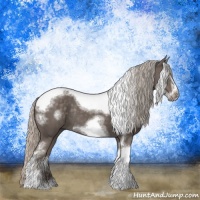 Horse Color:Silver Black Sabino Tobiano Frame Rabicano