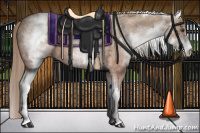 Horse Color:White Spotted Red Dun Ice