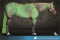Horse Color:Bay Ice Dun 