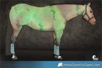 Horse Color:Bay Ice Dun 