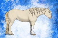 Horse Color:Smoky Creme 