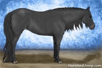 Horse Color:Blue Roan Varnish 