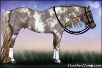 Horse Color:White Spotted Liver Red Roan