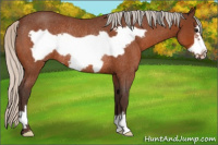 Horse Color:Silver Brown Roan Frame Rabicano