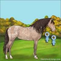 Horse Color:Amber Champagne Roan Blanket  and Amber Champagne Sabino 