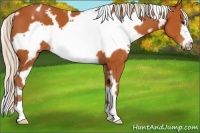 Horse Color:White Spotted Silver Brown Frame 