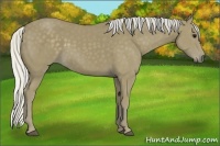Horse Color:Silver Smoky Black 