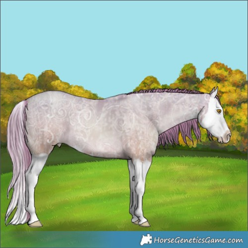 Horse Color:White Spotted Bay Roan Pearl Splash  and White Spotted Smoky Black Ice Pearl Splash 