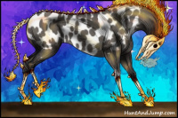 Horse Color:Grullo Mushroom Appaloosa 