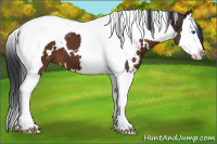 Horse Color:White Spotted Brown Splash Tobiano 