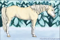 Horse Color:Palomino Dun Mushroom Sabino Brindle 