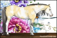 Horse Color:White Spotted Buckskin Splash 