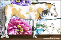 Horse Color:Buckskin Splash Tobiano 