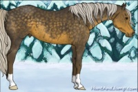 Horse Color:Silver Smoky Black 