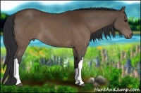 Horse Color:Brown 